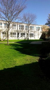 Photo 2013-04-30 05.24.11 PM